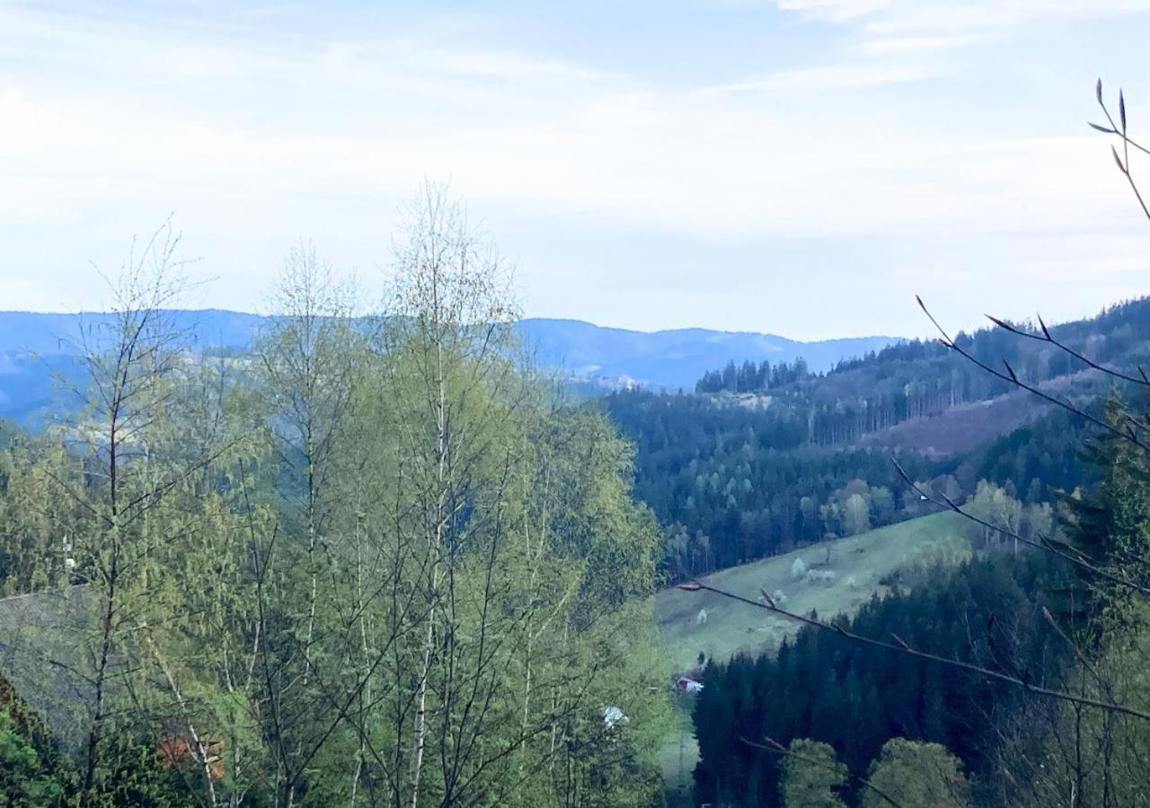 Apartman Na Valassku Horní Bečva Buitenkant foto